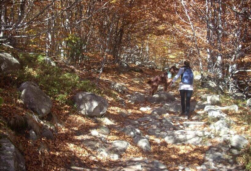 پانسیون Casa Rural Vilaspasa, Alquiler Integro