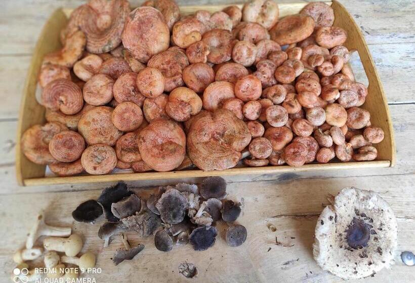 پانسیون Casa Rural Vilaspasa, Alquiler Integro