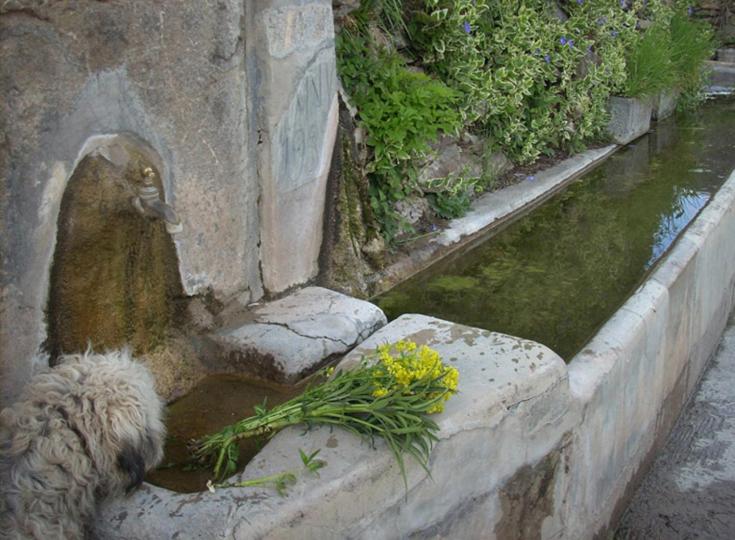 ペンション Casa Rural Vilaspasa, Alquiler Integro