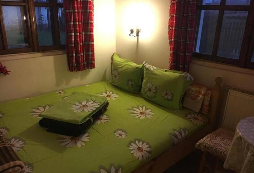 بنسيون Dyadovata Kashta