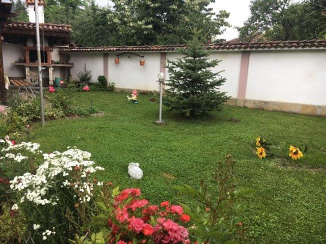 بنسيون Dyadovata Kashta