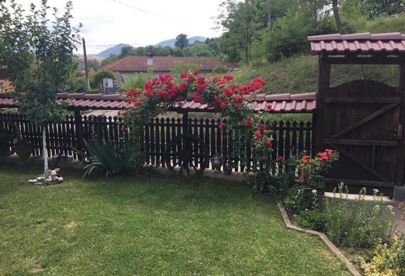 بنسيون Dyadovata Kashta