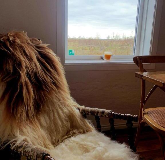 پانسیون Grand Guesthouse Gardakot