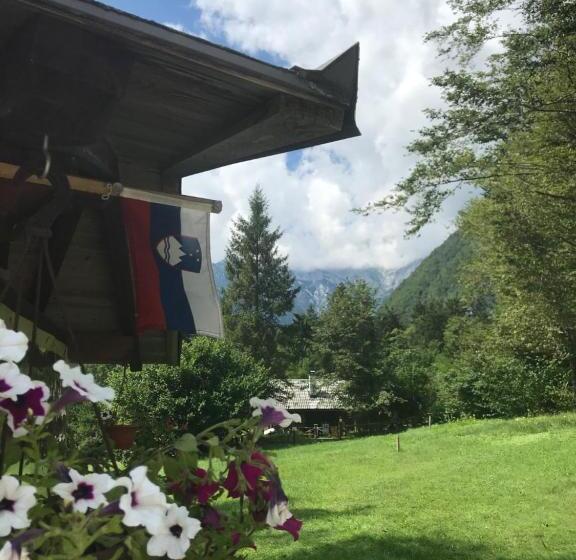 پانسیون House Berdnik