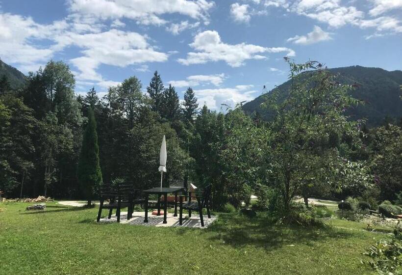 پانسیون House Berdnik