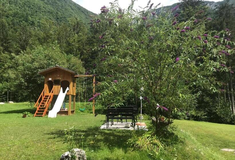 پانسیون House Berdnik