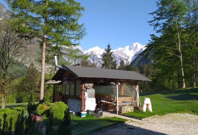 پانسیون House Berdnik