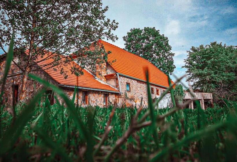 פנסיון Moara De Piatra