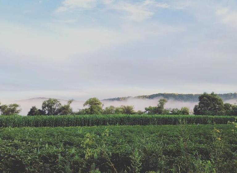 פנסיון Moara De Piatra