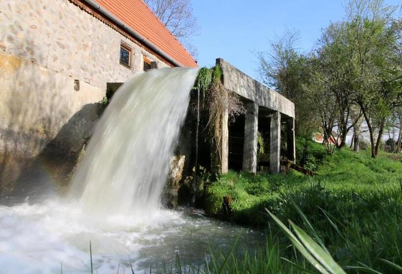 פנסיון Moara De Piatra