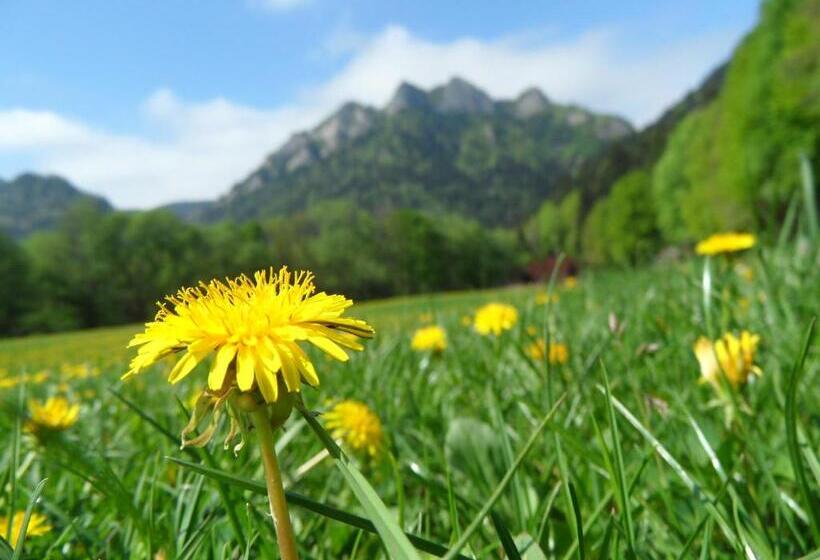 膳宿费 Penzión Antiqua Villa