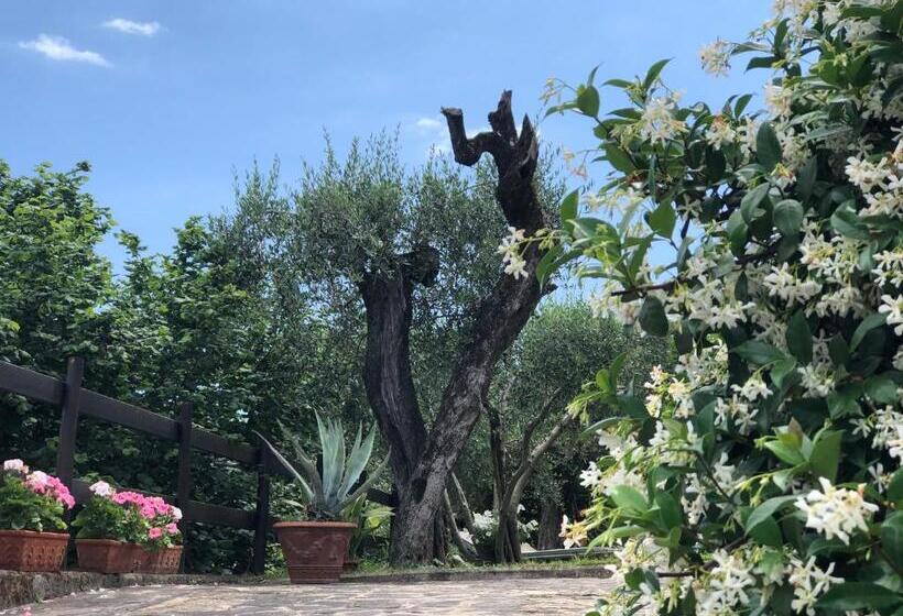 פנסיון Podere Morucciola