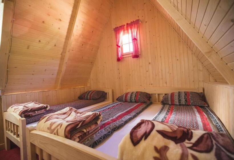 پانسیون Rafting Center Drina Tara