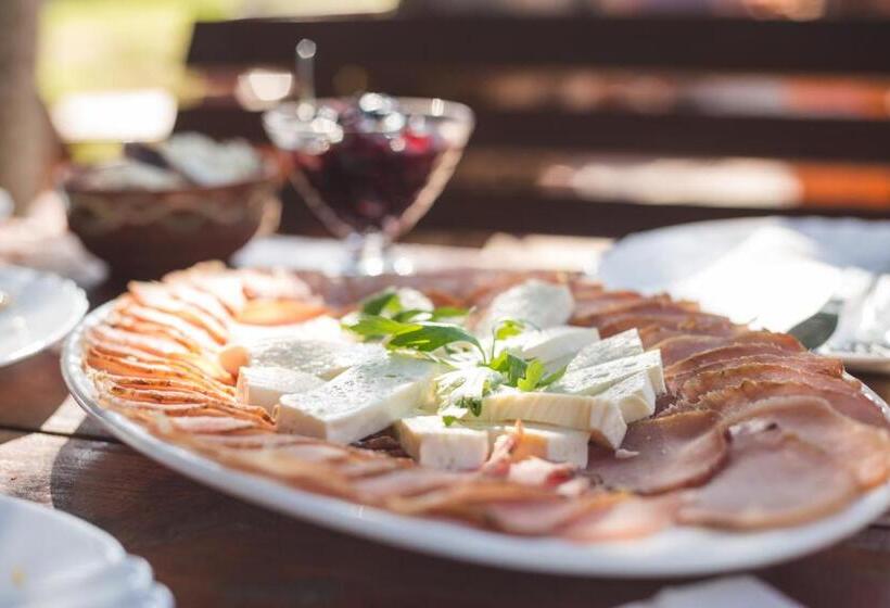 پانسیون Rafting Center Drina Tara