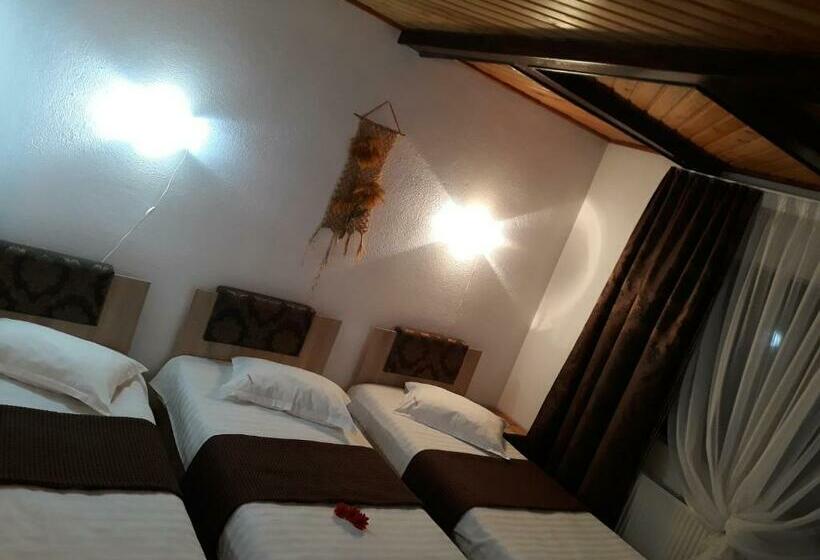 بنسيون Vila Silvana