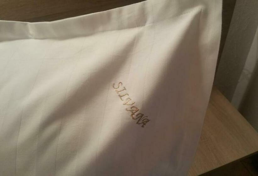 بنسيون Vila Silvana