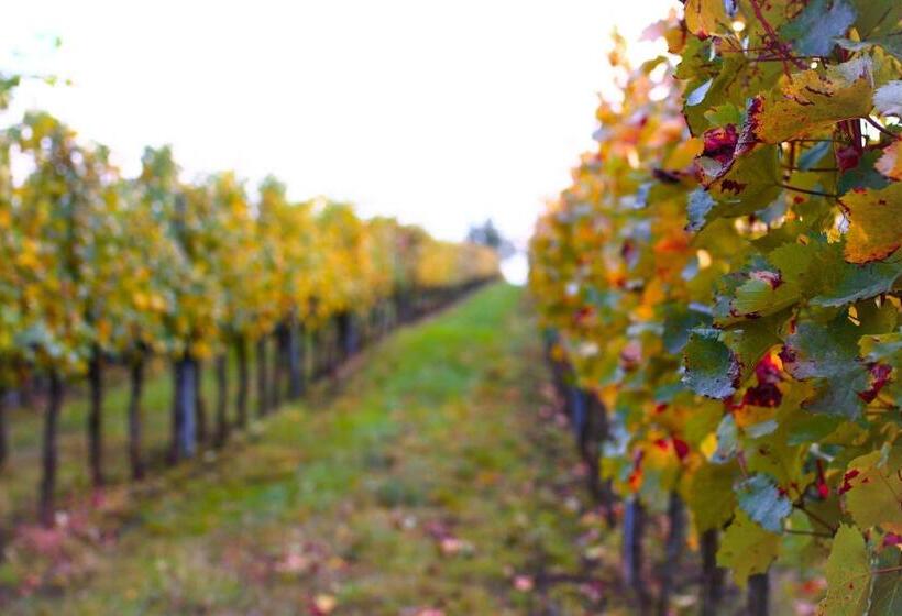 펜션 Vinný Sklep U Műhlbergerů