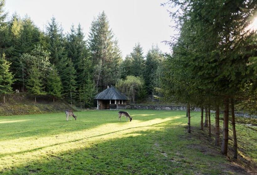 Pensiunea Casa Bunicilor