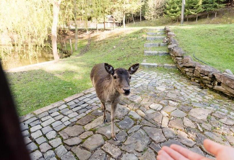 Pensiunea Casa Bunicilor