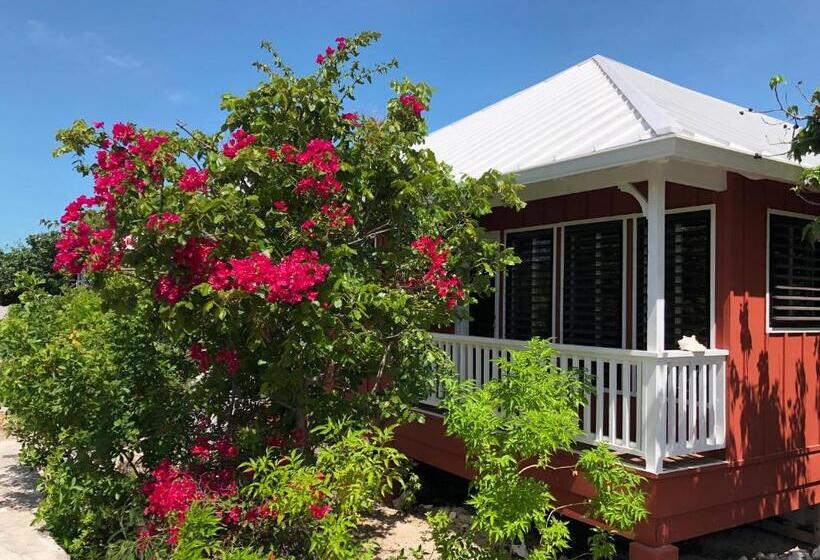 Курорт Neptune Villas