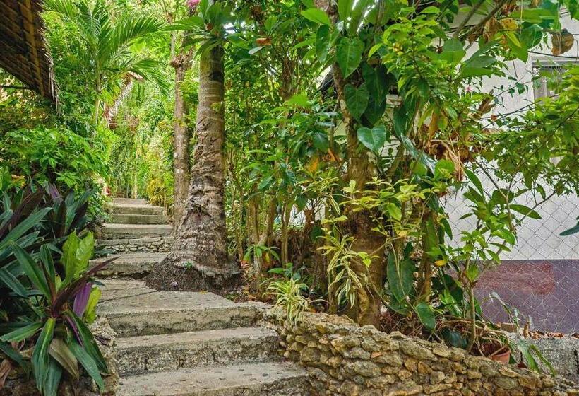 Resort Ralph S Place