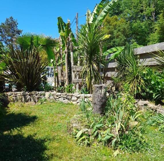 فندق صغير Carwyns Surf House