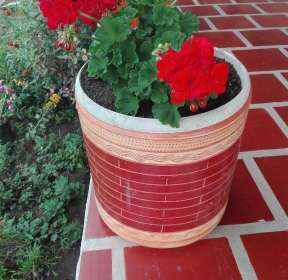 هاستل San Agustín Wayrana