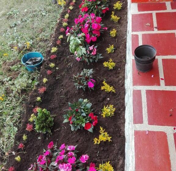 هاستل San Agustín Wayrana