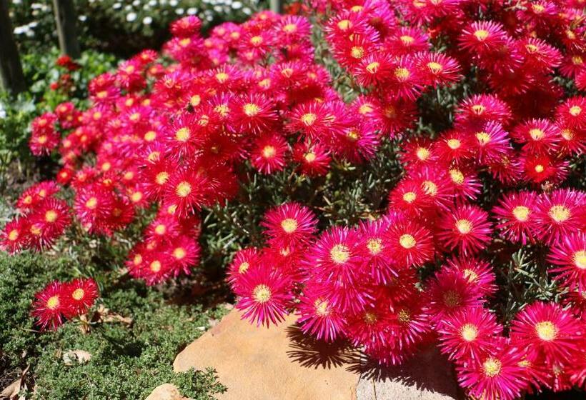 تختخواب و صبحانه 3 On Roux