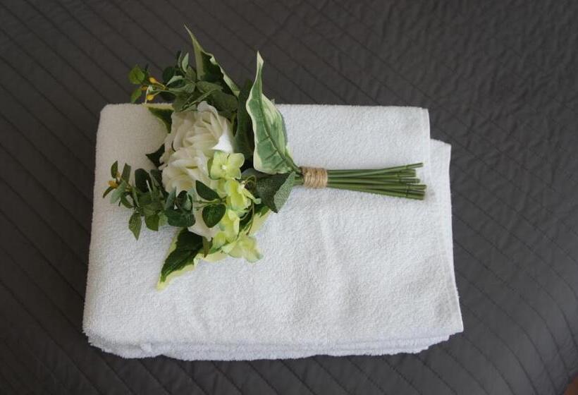 تختخواب و صبحانه Albert Cuyp Studio