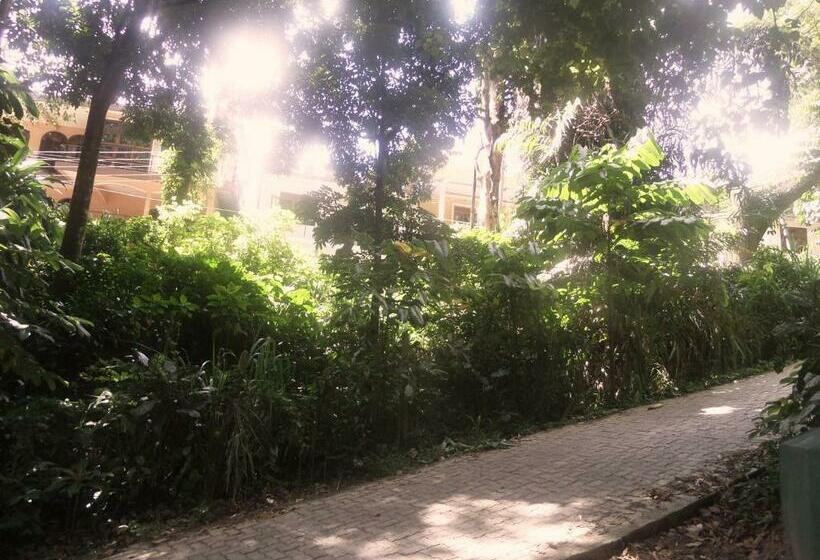 צימר Forest View Homestay