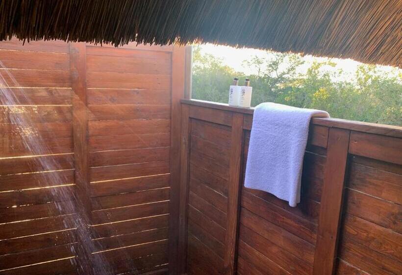 مبيت وإفطار Jbay Zebra Lodge