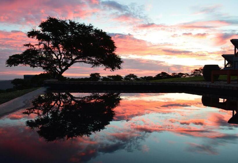 مبيت وإفطار Jbay Zebra Lodge