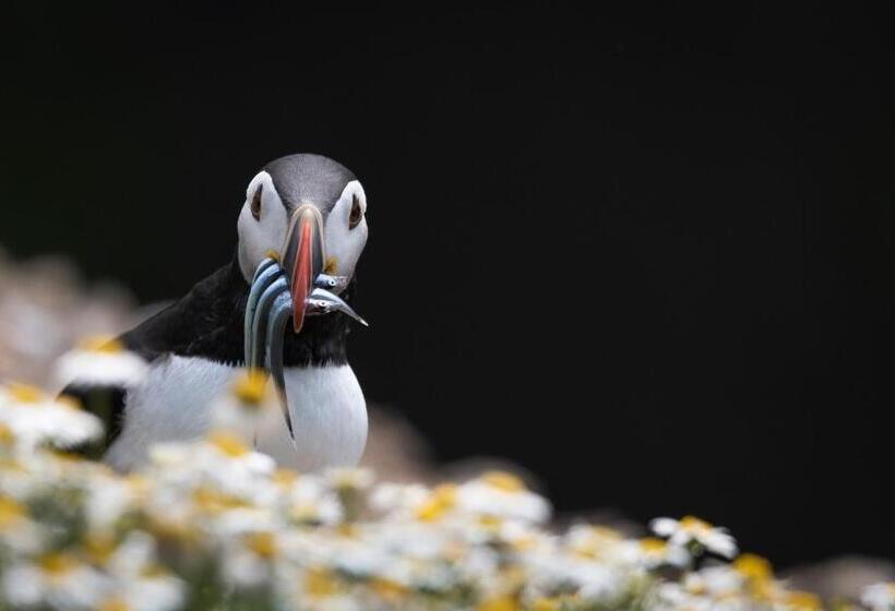 צימר The Old Manse