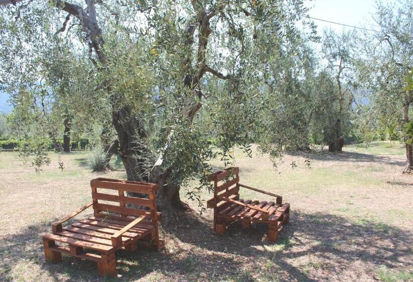 تختخواب و صبحانه Villa La Vigna