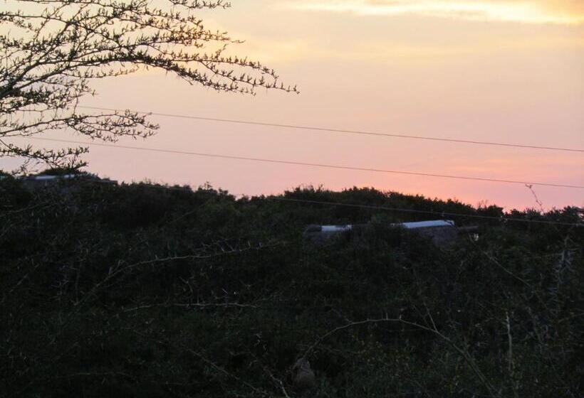 هتل Addo Dung Beetle Guest Farm