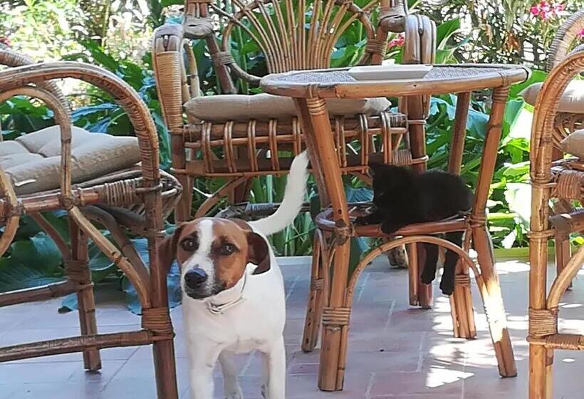 Отель Agriturismo Podere San Carlo