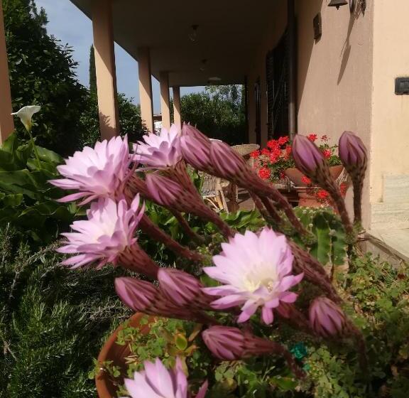 Отель Agriturismo Podere San Carlo