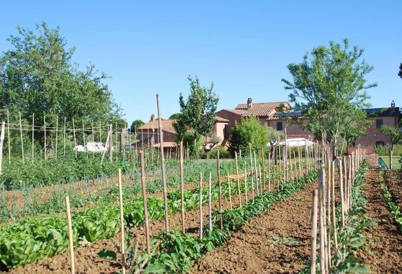 בית מלון כפרי Agriturismo Le Torri Di Porsenna