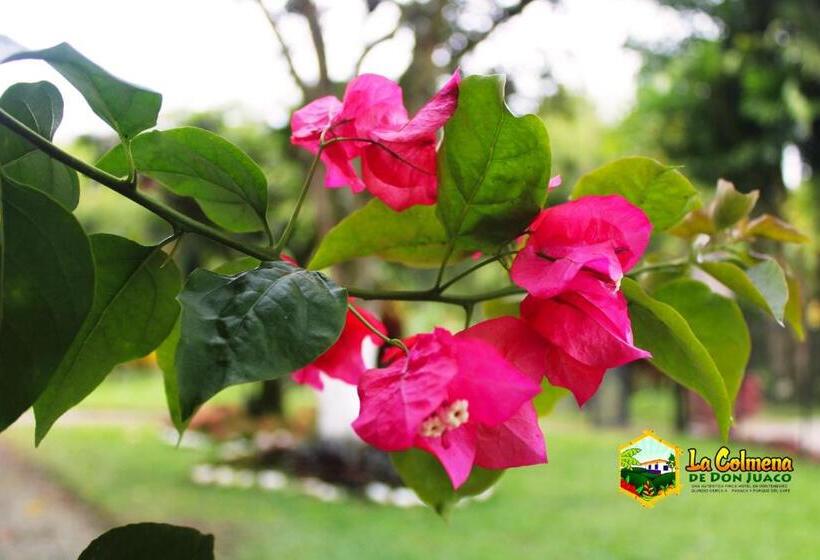 호텔 Finca La Colmena De Don Juaco