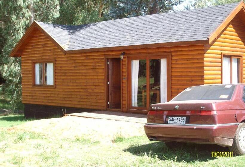 فندق Horacio Quiroga