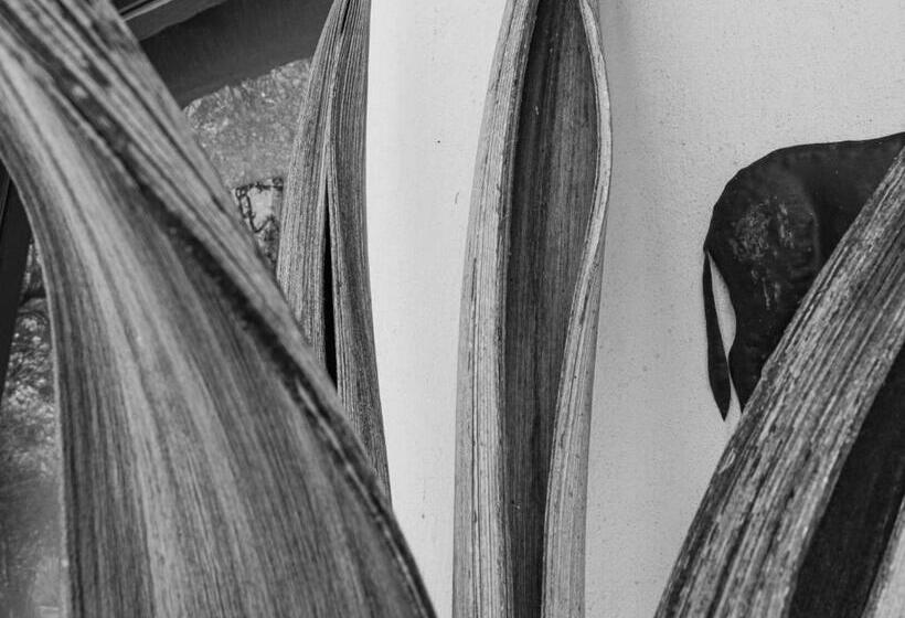 ホテル Impala Cottage