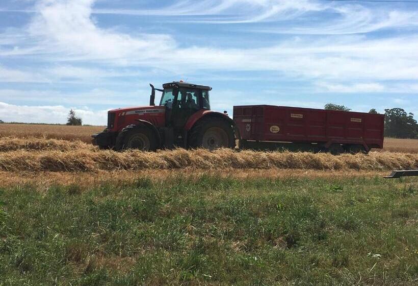 Отель The Manor Farm Alderton