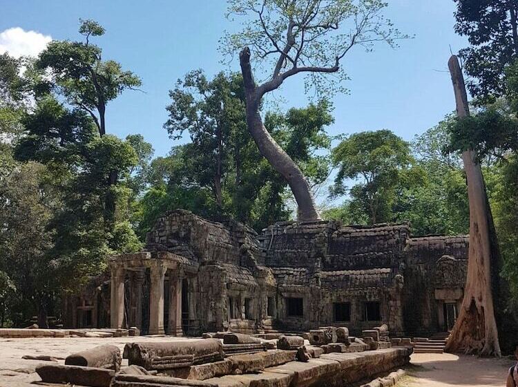 בית מלון כפרי Siemreap Vasinh Residence