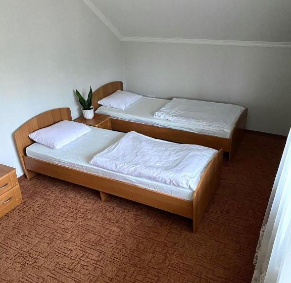 پانسیون вилла поляна