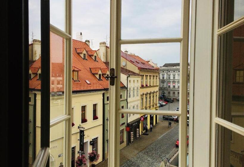 پانسیون Althanský Palác