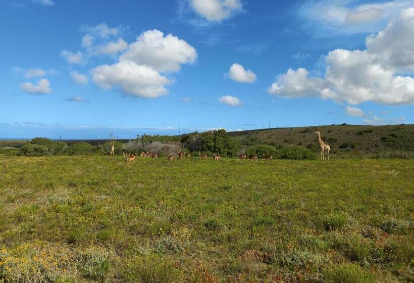 پانسیون Fijnbosch Game Lodge Jeffreys Bay