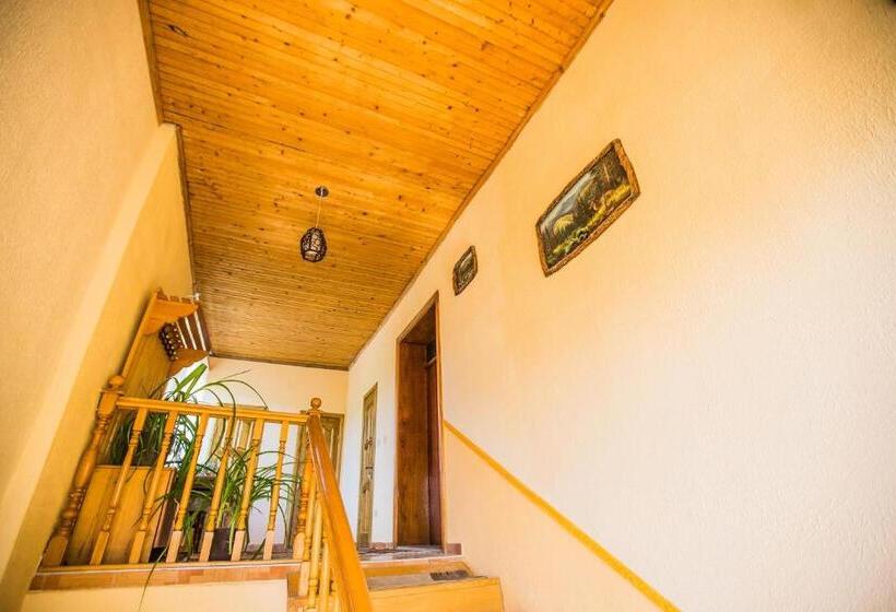 Пансион Guest House In Drachino