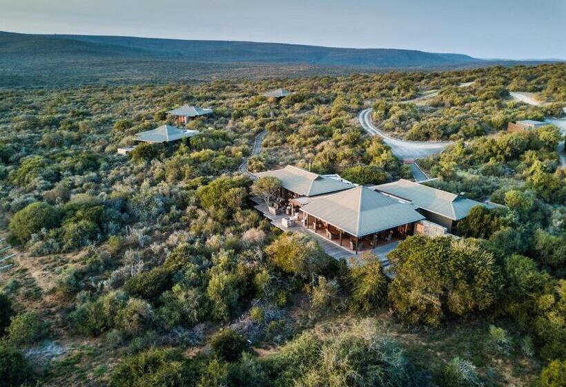 پانسیون Kwandwe Private Game Reserve   Ecca Lodge