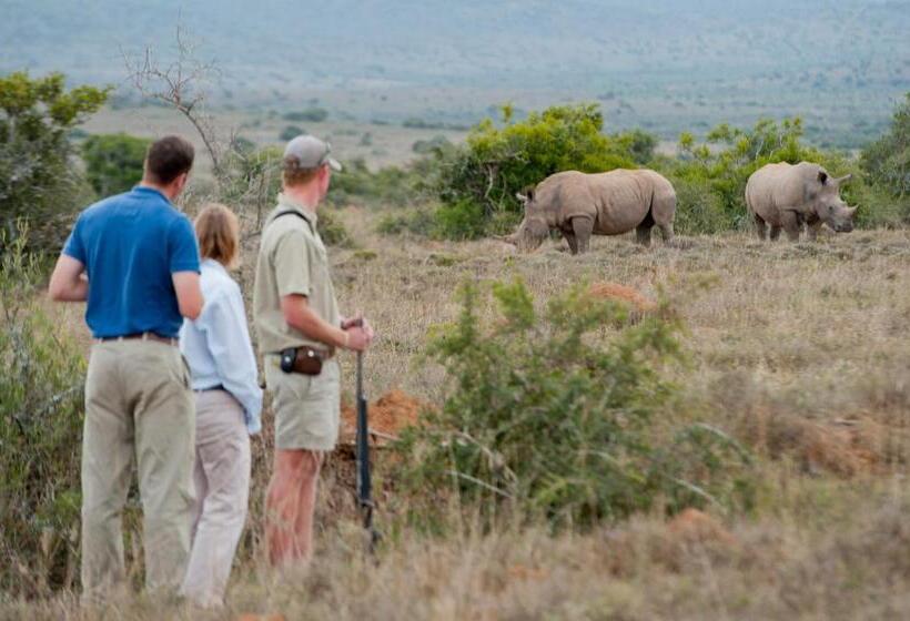 پانسیون Kwandwe Private Game Reserve   Melton Manor